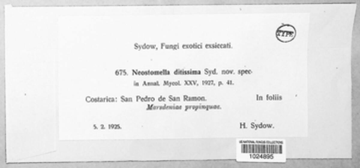 Neostomella image